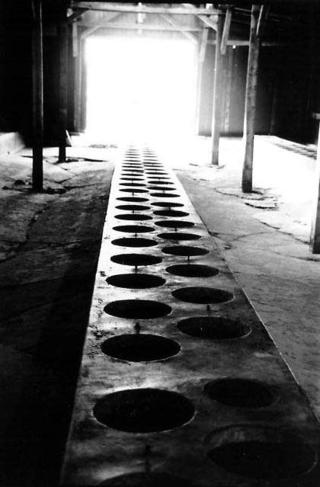 Auschwitz II (Birkenau)