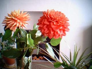 From home