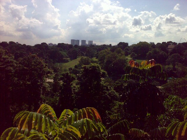 One of my favourite views in Singapore