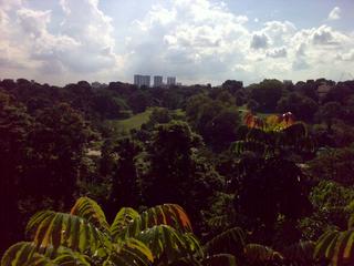 One of my favourite views in Singapore