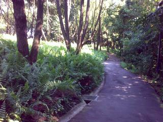 Into Kent Ridge Park