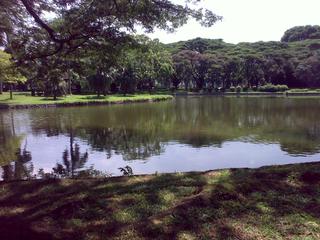 West Coast Park - east side