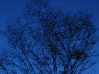 Twilight Blue