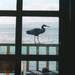 157033_4327e_square