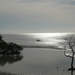 1825712_26da7_square