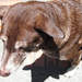1832008_e6cdf_square