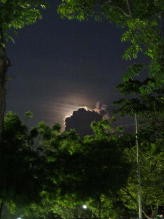 Waiting for the Full Moon