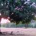 184013_81e4d_square