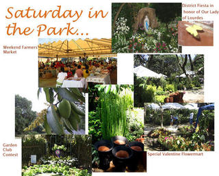 Saturday in the Park