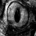 192876_bb968_square