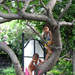 204270_d621c_square
