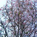 205933_045fc_square