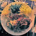 218551_c69ac_square