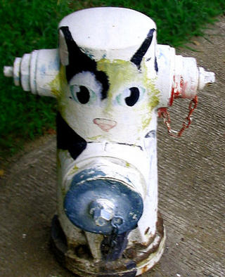 feline hydrant