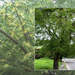 236322_d0ca6_square
