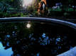 pool, grotto, park, Narra, AAV