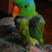 258704_e9192_square
