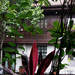 260557_9ebd9_square