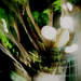 268389_0971a_square