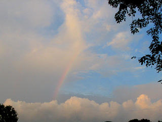 Lucky charms