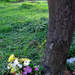 292193_70b75_square
