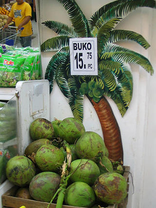 For <b>Tiodu</b> ~ Coconuts