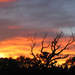 300247_cf96d_square