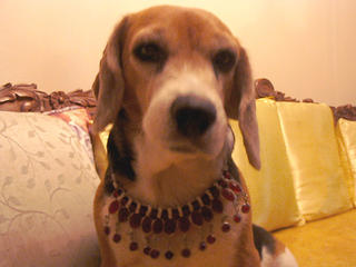 Bejewelled