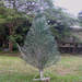306539_927dd_square