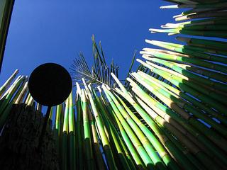 Let the sunshine in!