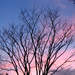 322925_19356_square