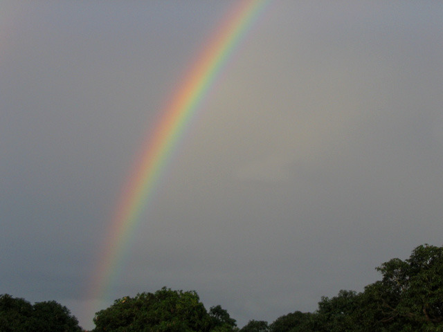 Rainbow Connection