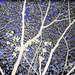 352863_9800e_square