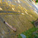 360338_0590f_square