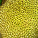 364236_253c6_square