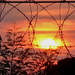 365326_a3fc9_square
