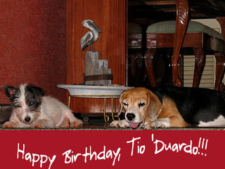 Bestest Birthday Greetings to Tiodu!