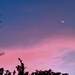 370002_2d06a_square