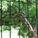 378422_73ed9_square