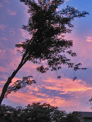 November Sunset