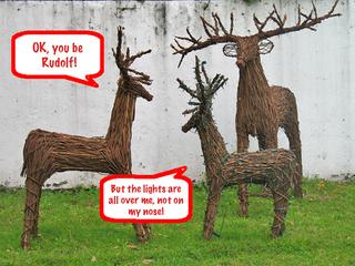 Who's Rudolph?
