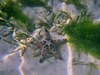 Seeing Stars?