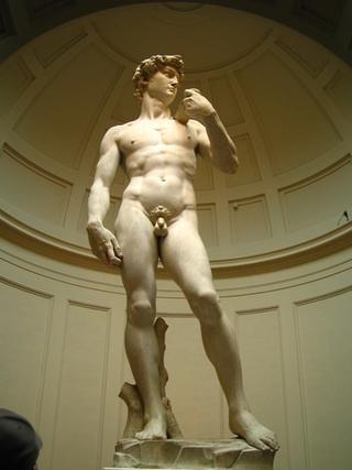 hunky david, florence 2005