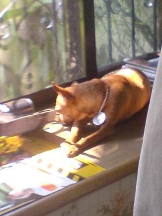 an emoting bina