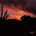 122106_957c6_square