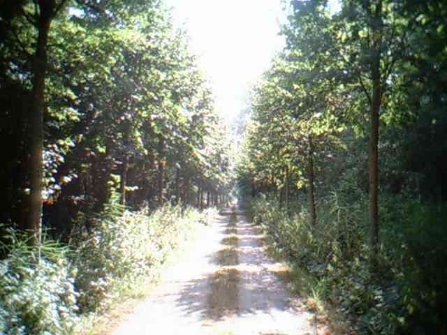 Boeren, burgers en buitenlui