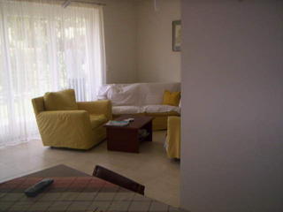 livingul Mioarei