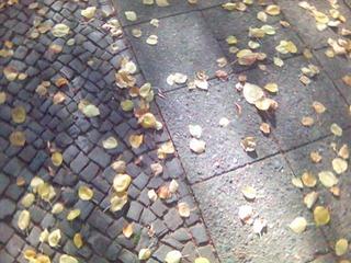 herbst war gestern