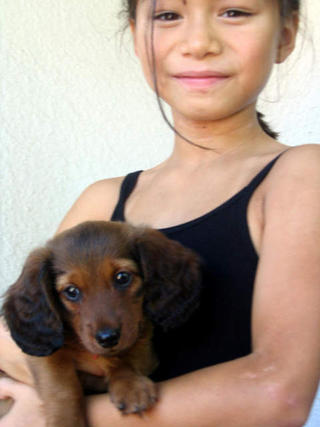 Future dog lady