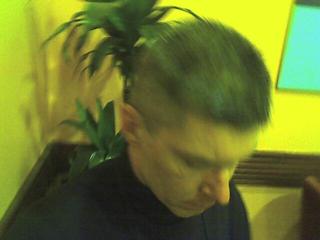 A new haircut